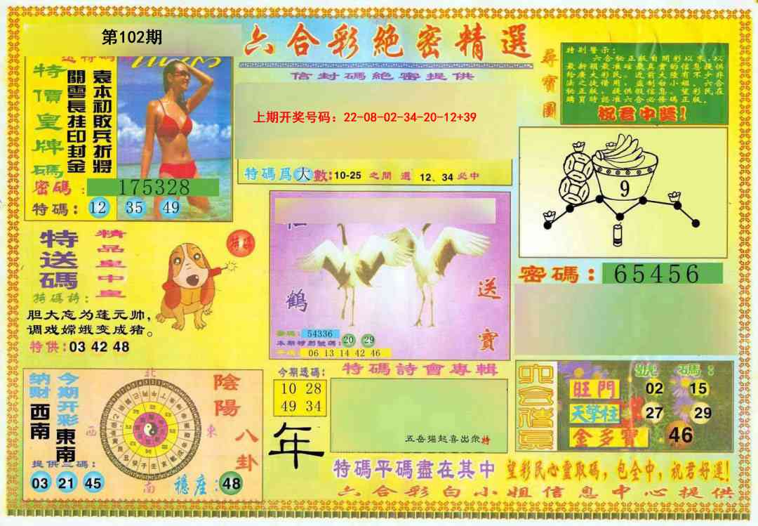 102期绝密精选A[图]